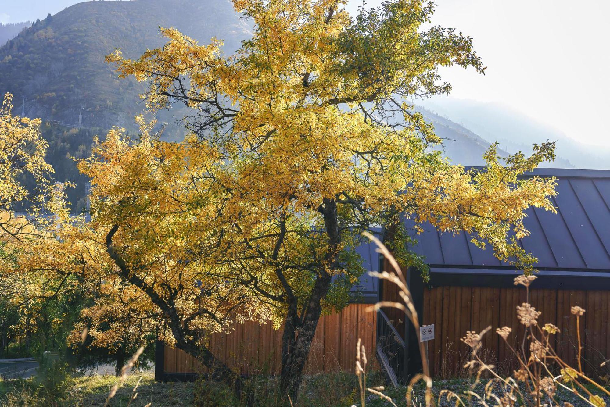 Qazaq Auyl Eco Hotel Almaty Eksteriør billede